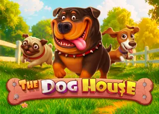 pg191 The Dog House ทดลองเล่นฟรี